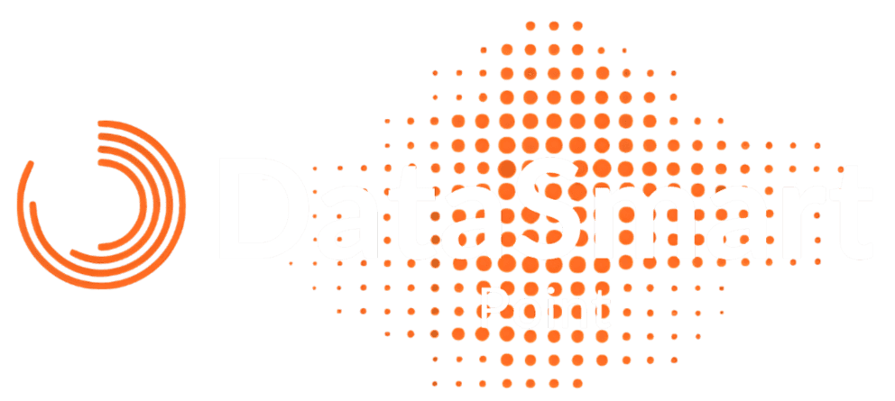 DataSmartPoint Logo